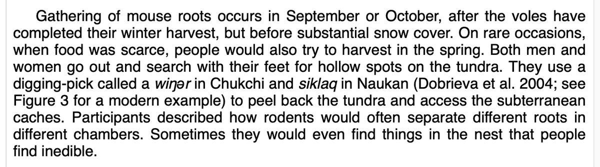 strong_sistas's tweet image. Traditional cultures in the arctic used to eat starches (tubers) by harvesting them from rodent nests. Proper gathering always involved leaving something for the rodents in exchange for the starches they took. #carbs #reciprocity #ancestral