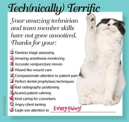 KentCountyCats's tweet photo. It's #NationalVeterinaryTechnician Week! Join us in celebrating the hard workers and dedicated caregivers who support us and our pets throughout the year. Thank you to all #veterinarytechnicians! https://t.co/xwyf7hKWcf
