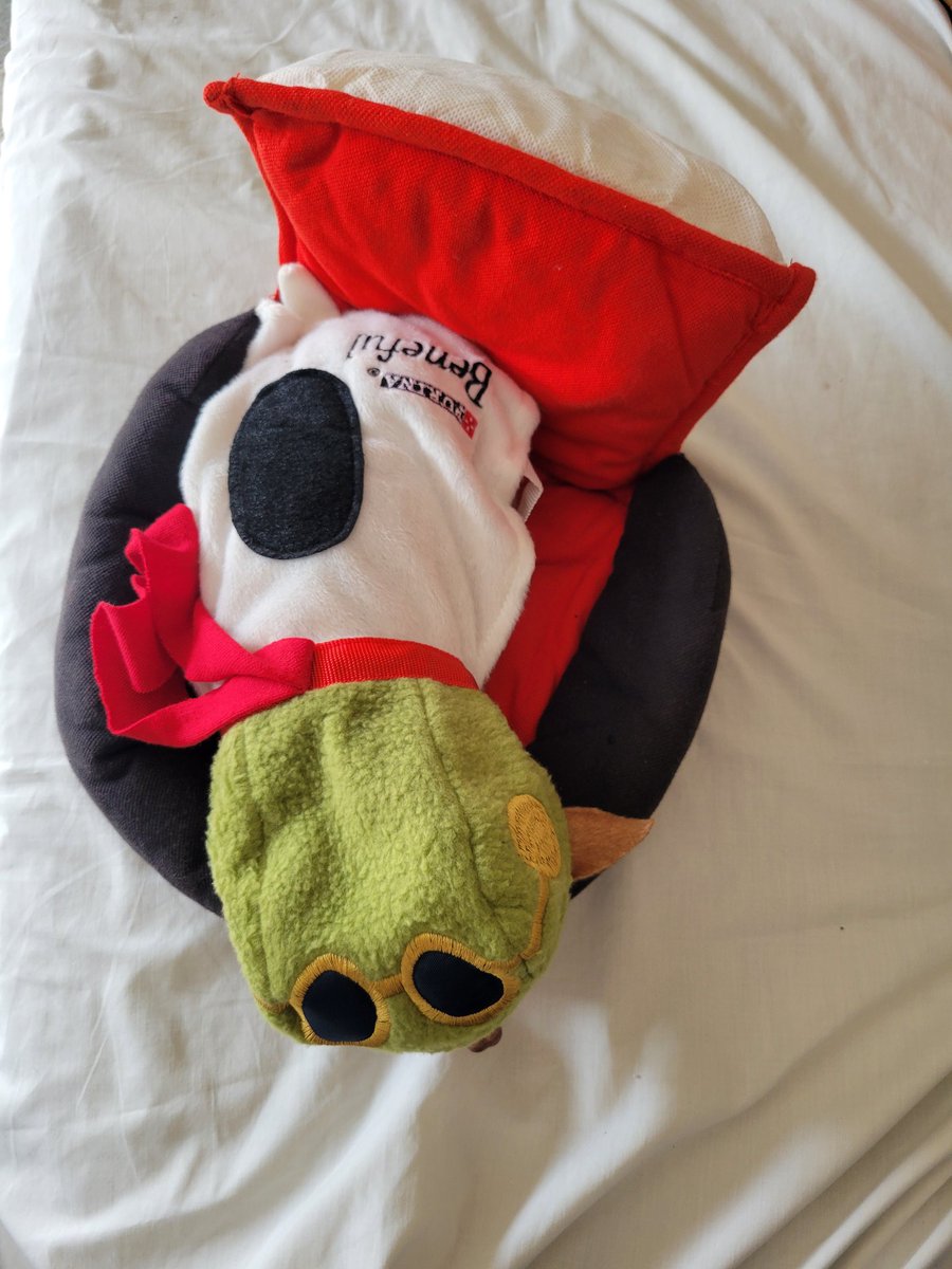M4rHerr's tweet photo. @ricardoalcarazp Mi perro con traje de snoopy🥺 https://t.co/QrrqjFOOFq