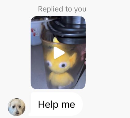 AnonymousPikmin's tweet photo. monthly check up hello pikmin community https://t.co/Cle55WIhU0