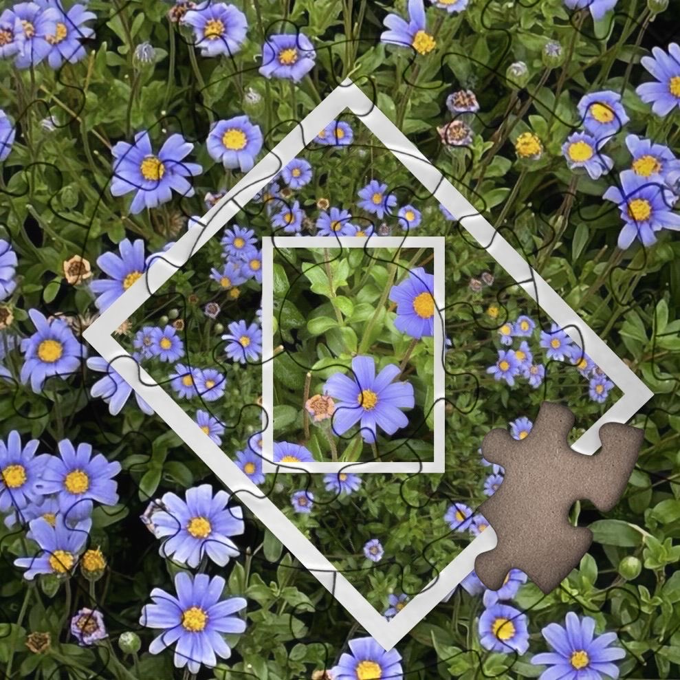 r_jon4's tweet image. #flowers #nature #puzzle 🌏🧩❤️🌻