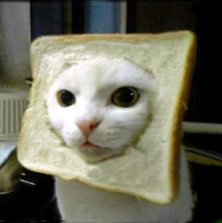 INBREDCATONSOL's tweet photo. the culture of $INBRED is deeply rooted in people's hearts... let's get the bread 🍞😹🍞 https://t.co/MBEc8PTnza