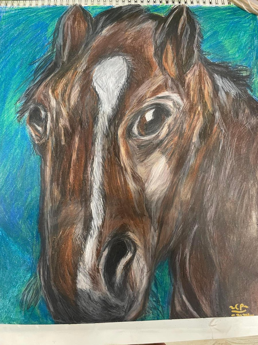CourtneyPoole00's tweet photo. I haven’t sketched with coloured pencils in a while. https://t.co/hNndSnr56R