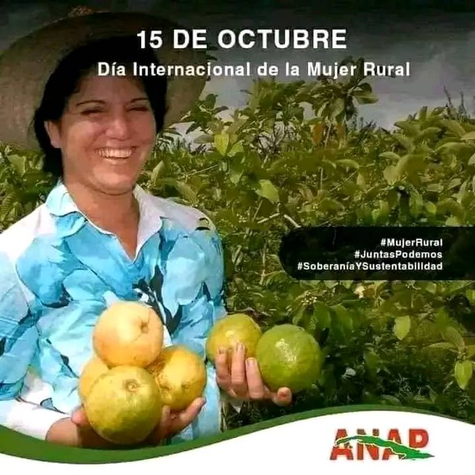 #CubaMined #TercerFrente #dpestgo <a href="/bta/">你好三块金牌</a>