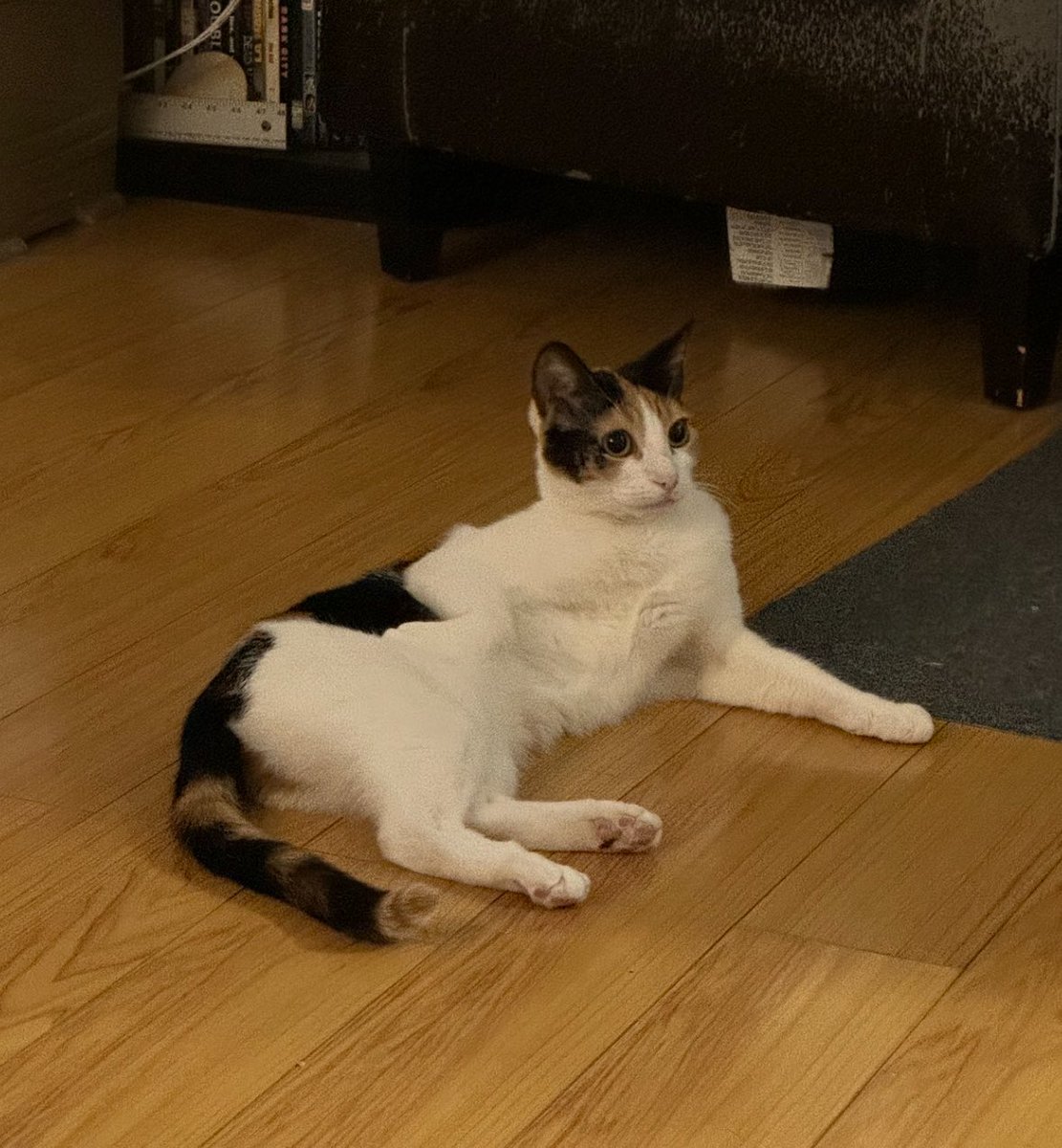 a peaches update, she sits like this now