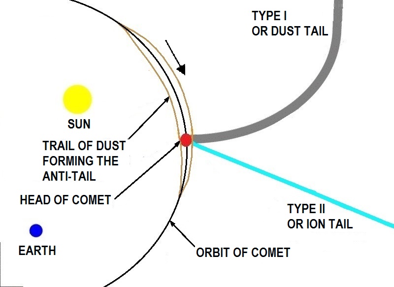 e_philalethes's tweet photo. @BrooksWeather @astrofalls That's the antitail, which is from larger debris from the comet which remain in its orbital path, so that's actually showing its trajectory; the other tails, on the other hand, are in the opposite direction of sunward. Easy to think the big tail is "behind" it, but not quite so! https://t.co/RfaySTP8wa