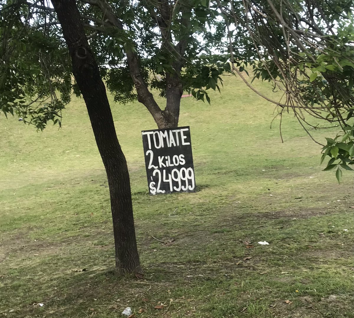 Las verdulerías mañana después del partido de Argentina vs Bolivia: