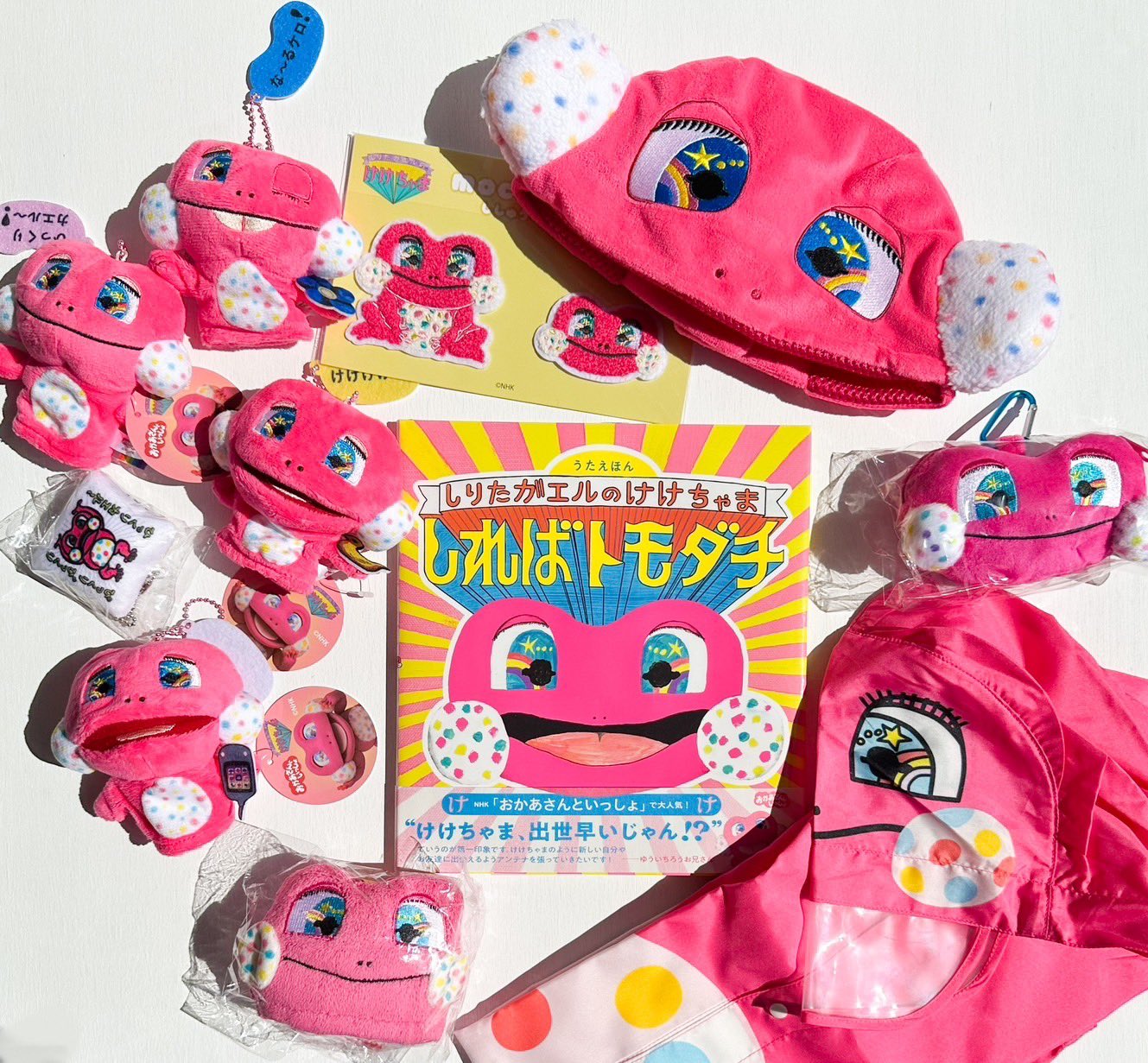 ケケチャマ です✩.*˚ NHK「おかあさんといっしょ」の大人気コーナー「しりたガエルの