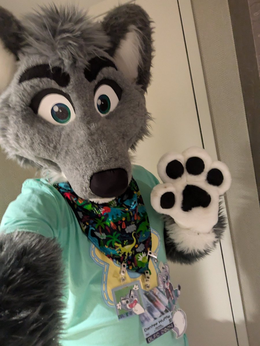 lilwuffie's tweet photo. Just a lil wuff at the biggest little fur con https://t.co/Fou3IjVHqp