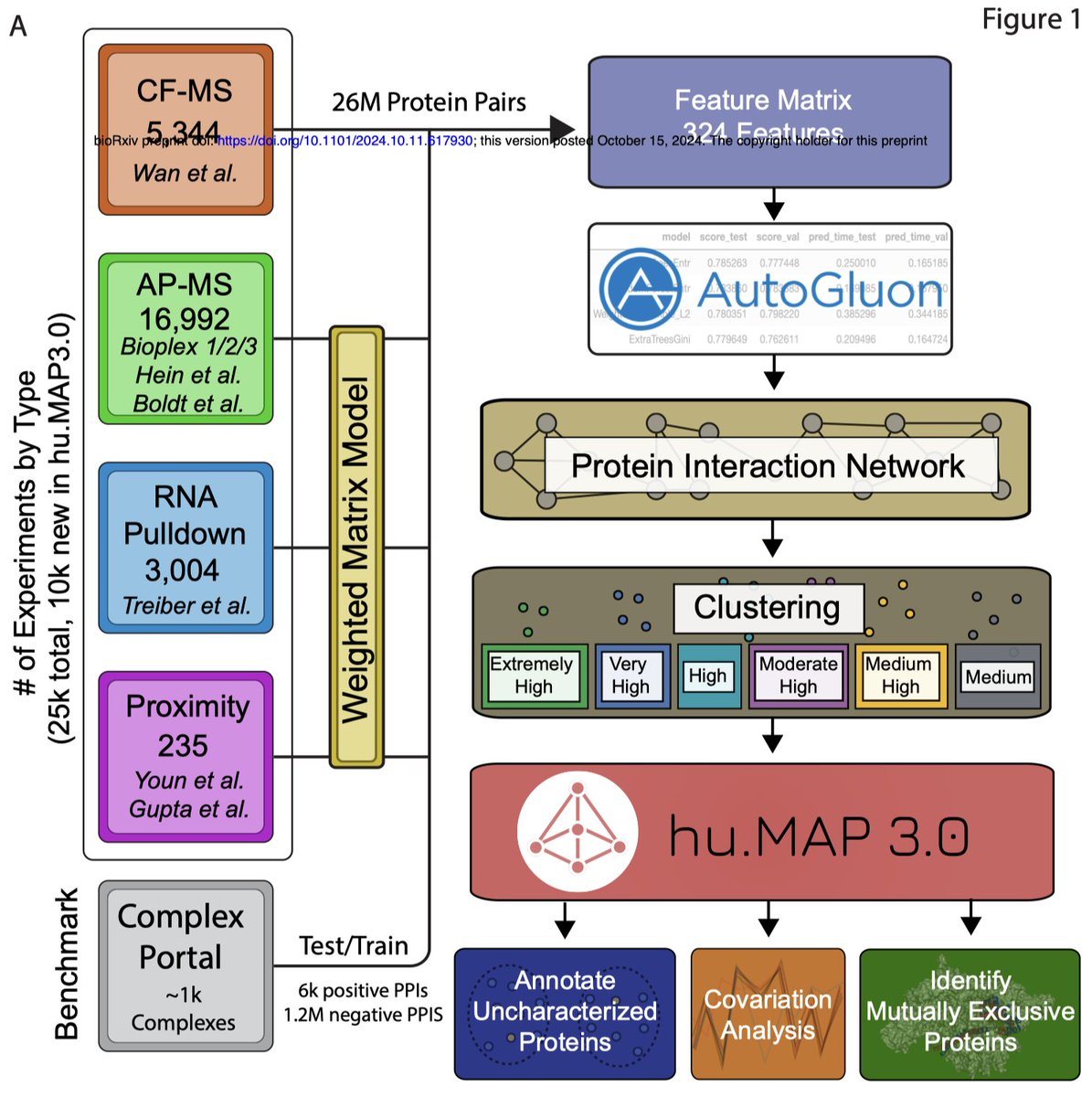 hu.MAP3.0: Atlas of human protein complexes by integration of &gt;25,000 proteomic experiments

1. hu.MAP3.0 presents the largest map of human protein complexes to date, integrating data from over 25,000 mass spectrometry experiments to reveal more than 15,000 protein complexes.

2.