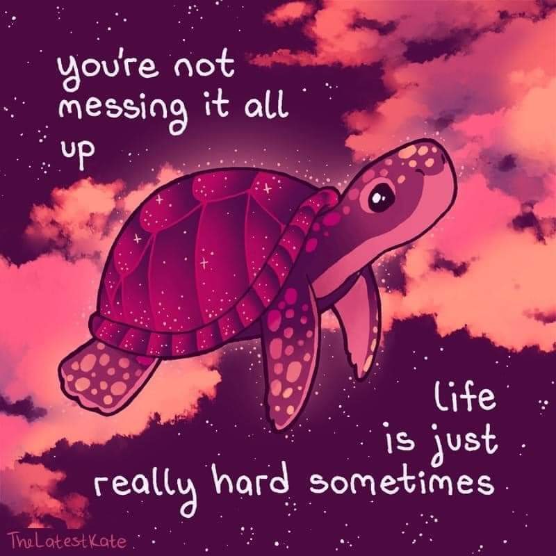 Arcana🔮Sylum (@arcanasylum) on Twitter photo 