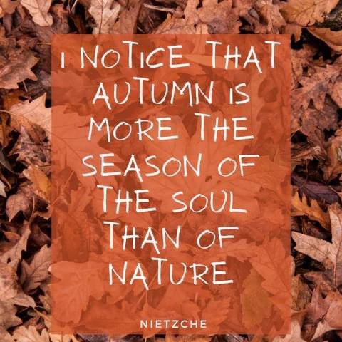 4 seasons of the soul- Autumn represents centering. Take this time to reflect on one's real self, who we are and what our purpose in life is.

#yoursoul #seasonsofthesoul