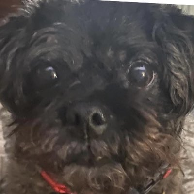 DouglasBBondJr's tweet photo. #NewProfilePic https://t.co/qyz25EwORV