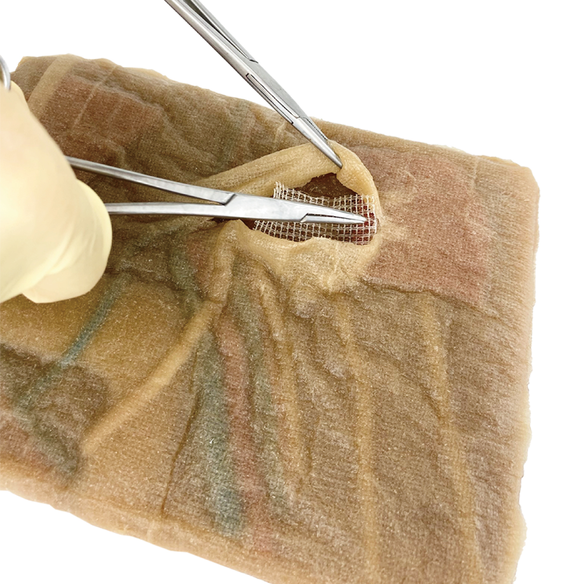 What can you see at our booth this weekend?

✅ Distal Gastrectomy Model
✅ Hernia Model
✅ Cholecystectomy Model

...and possibly a few models we haven't talked about yet. Swing by Booth 653 at the ACS exhibition hall to see the full display! Our team is excited to see you.