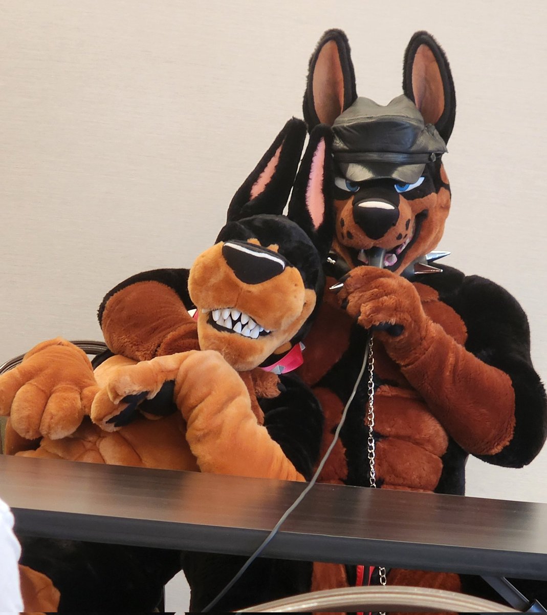 Hope I helped out however I could during <a href="/Duke_Doberman/">🥃 ᴰᵤᵏᵉ the 👑 ᴅᴏʙᴇʀᴍᴀɴ</a> Q&amp;A. Wonder if he noticed when I was messing with his nub tail when he was sitting on the table.