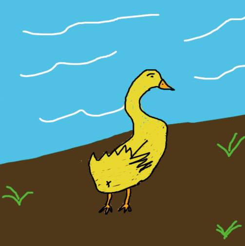 Duck tweet media