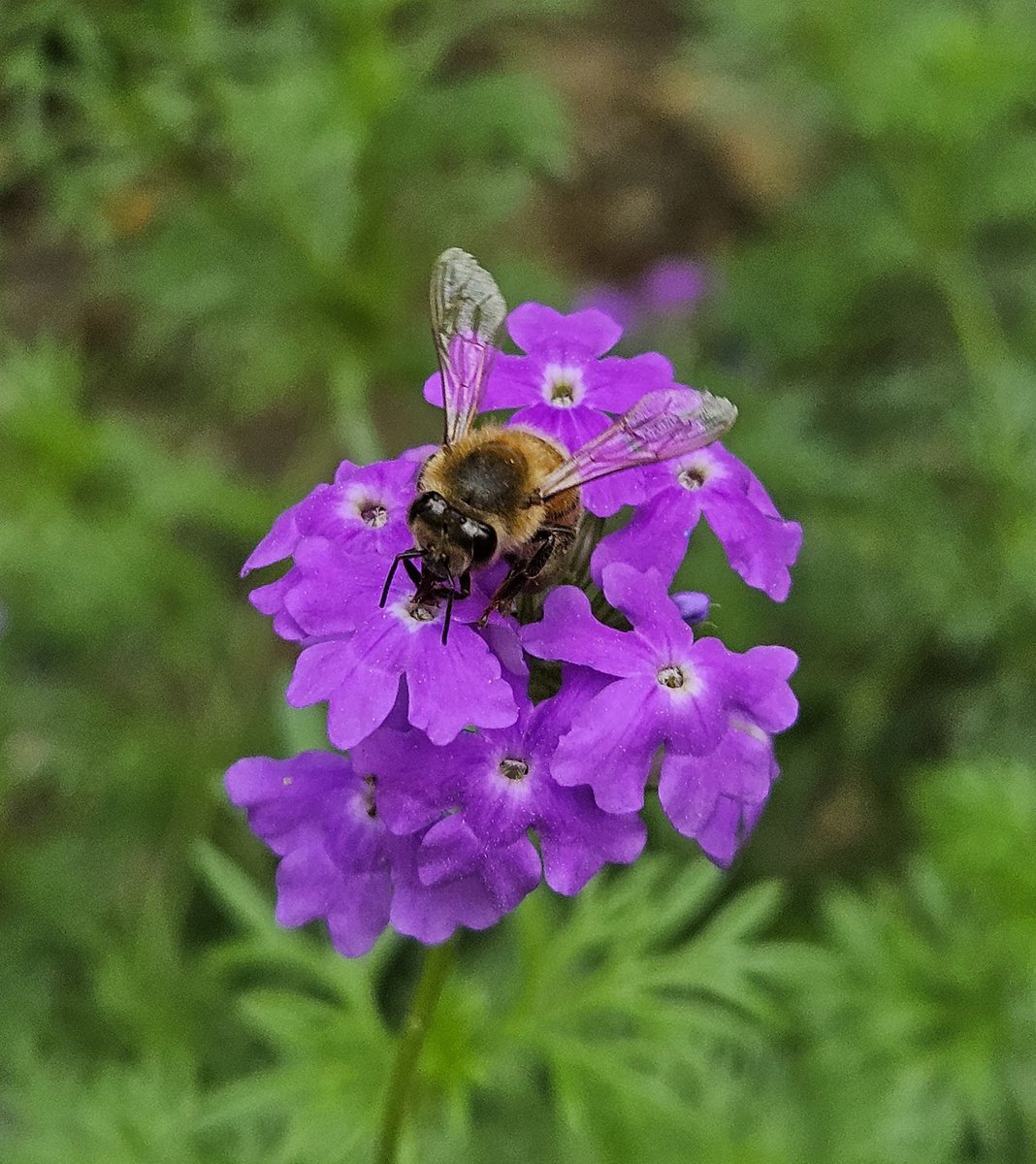 生活可以簡單
日子也要充實
人生更要精彩
太陽底下沒有什麼新鮮事
感受生命中的美好
無外乎
就是從發現周遭細微美麗的事物開始

#日常生活 #生活拾遺 #發現美好