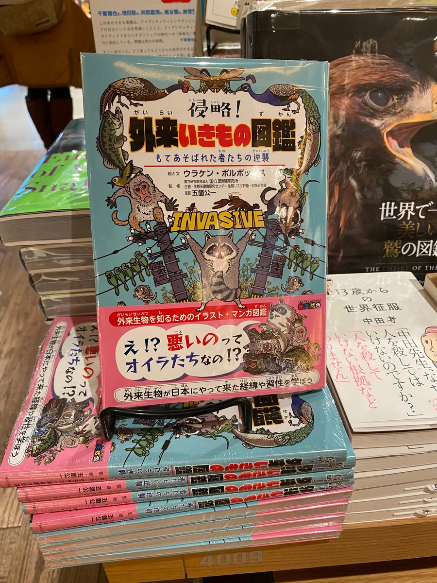 スズメバチの巣が話題だけど、特定外来生物ツマアカスズメバチは都市部でも生息可能で、高層マンションにも巣を作るので、マジでヤバい。

#外来いきもの図鑑
https://t.co/tkOuVQrdYV

既に九州にも上陸しています。巣を見つけたら役所に通報して下さい。

#おむすび
#朝ドラおむすび 