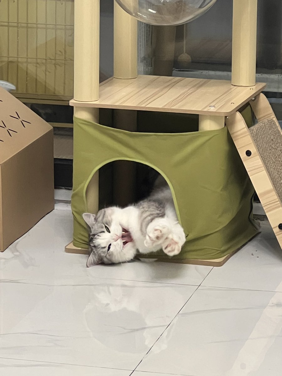 等CD                                   开大