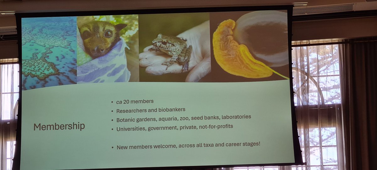 NSW Health Statewide Biobank (@nswhsbiobank) on Twitter photo Here at #ABNA2024, learning about the <a href="/ABNAonline/">ABNA</a> Biobanking for Biodiversity special interest group. This group aims to apply #biobanking to promote the conservation of Australia's wonderful biodiversity. Go team!!! <a href="/Rose_Upton1/">Rose Upton</a> <a href="/EmmaDalziell/">Emma Dalziell</a> Here at #ABNA2024, learning about the <a href="/ABNAonline/">ABNA</a> Biobanking for Biodiversity special interest group. This group aims to apply #biobanking to promote the conservation of Australia's wonderful biodiversity. Go team!!! <a href="/Rose_Upton1/">Rose Upton</a> <a href="/EmmaDalziell/">Emma Dalziell</a>