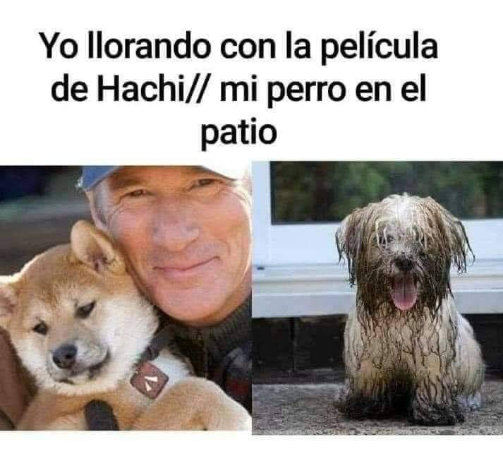 🤣🤣