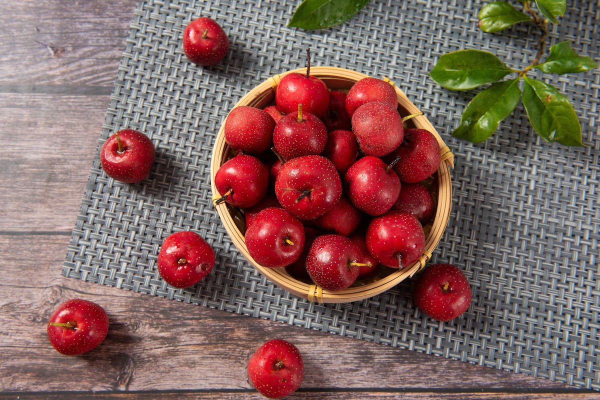 laxmilamsal's tweet image. ल भन्नुस्, यो फलको नेपाली नाम के हो? 
चिनियाँमा #山楂 अङ्ग्रेजीमा #hawthorn भनिने रहेछ। कता कता कसैले एउटा नाम जुरायो - नागफणी । 
तपाइँको विचारमा यो नाम ठीकै छ ?