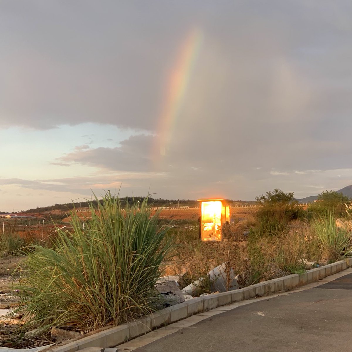 undercurrent_98's tweet photo. 🌈 https://t.co/rDKm4uwvCy