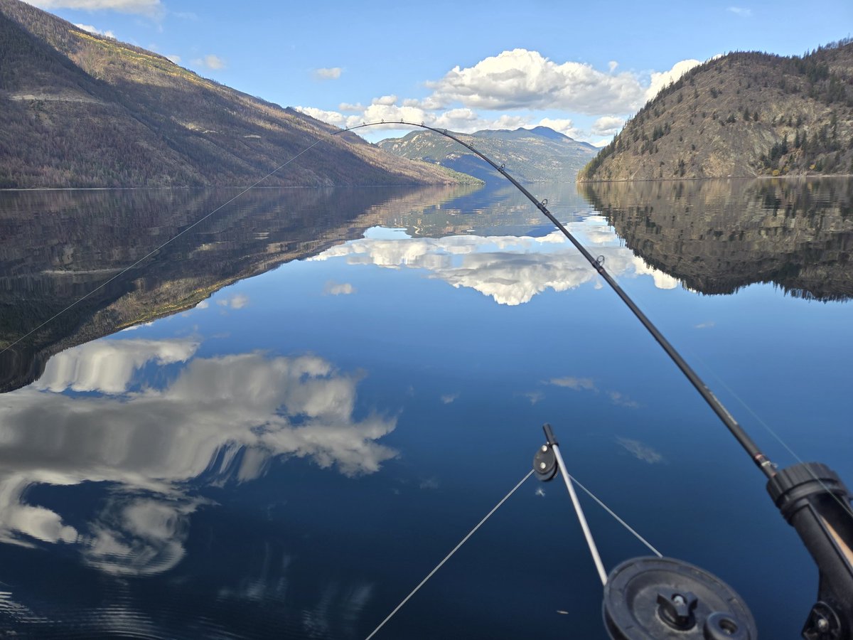 liquidwinter2's tweet image. Glassy lake