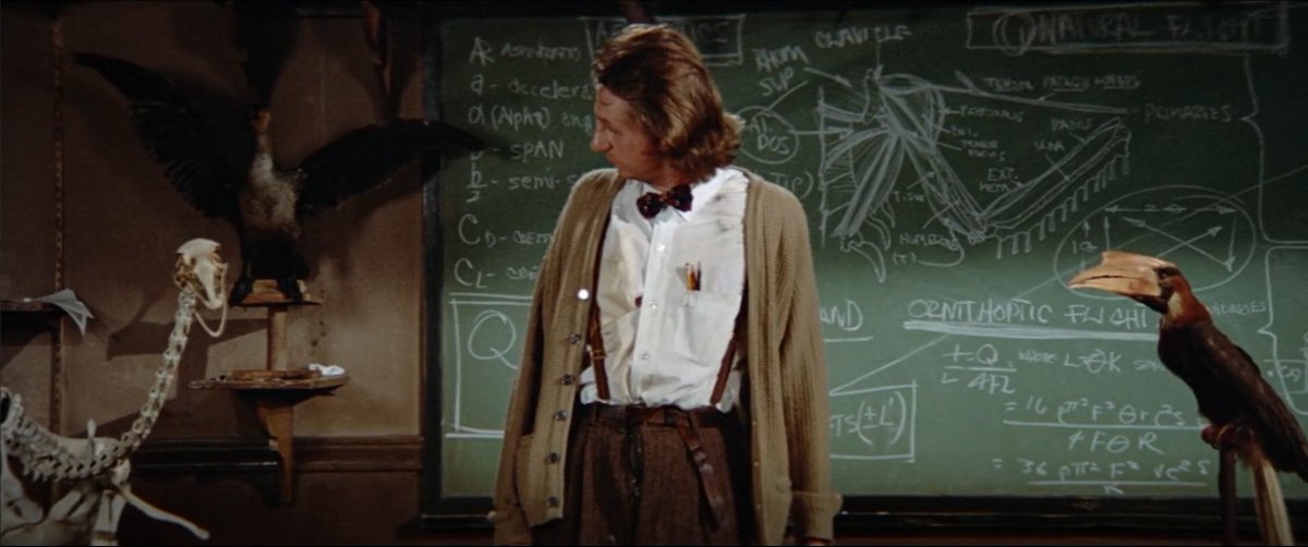 looptheswoop's tweet image. Please watch Brewster McCloud