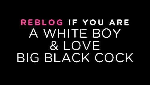 ♠️ Whiteboi World 2026 ♠️ tweet media