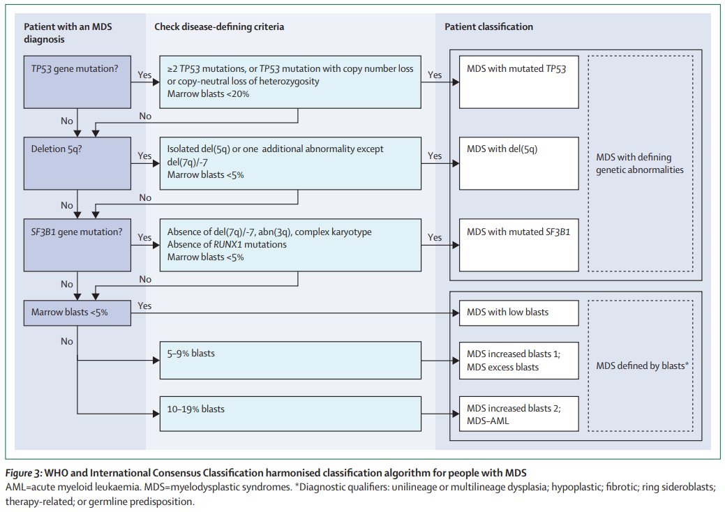 Munich Leukemia Laboratory (@leukaemielabor) on Twitter photo 📄Data-driven classification system for people with #MDS to harmonize entity lables between #WHO2022 and #ICC2022. A simple hierarchical algorithm was created to assign an individual to a specific disease category in clinical practice. <a href="/TheLancet/">The Lancet</a> thelancet.com/journals/lanha… 📄Data-driven classification system for people with #MDS to harmonize entity lables between #WHO2022 and #ICC2022. A simple hierarchical algorithm was created to assign an individual to a specific disease category in clinical practice. <a href="/TheLancet/">The Lancet</a> thelancet.com/journals/lanha…