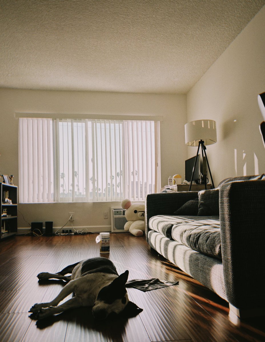 Irene 👹 tweet media