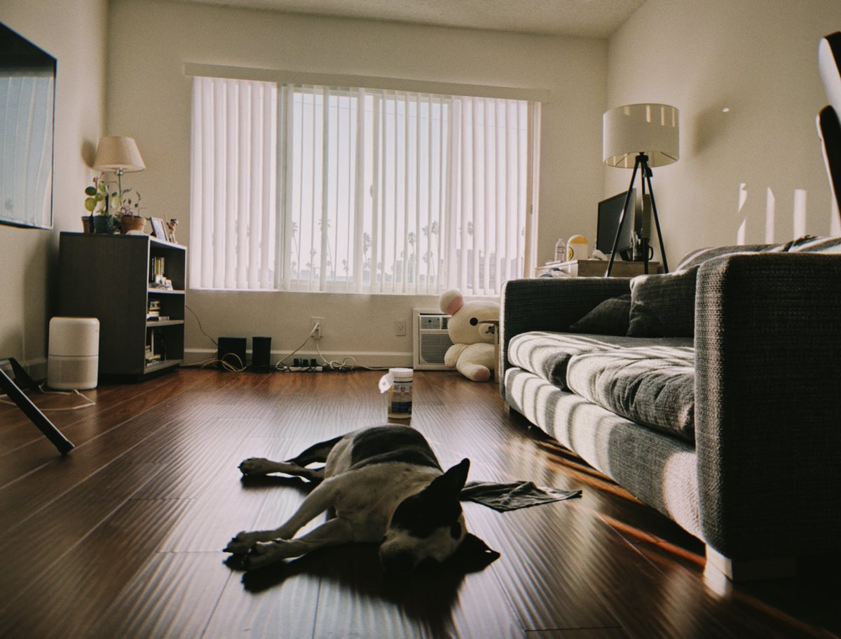 Irene 👹 tweet media