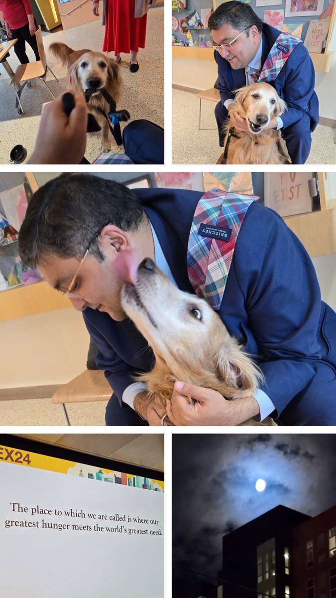 Divvy K. Upadhyay tweet media