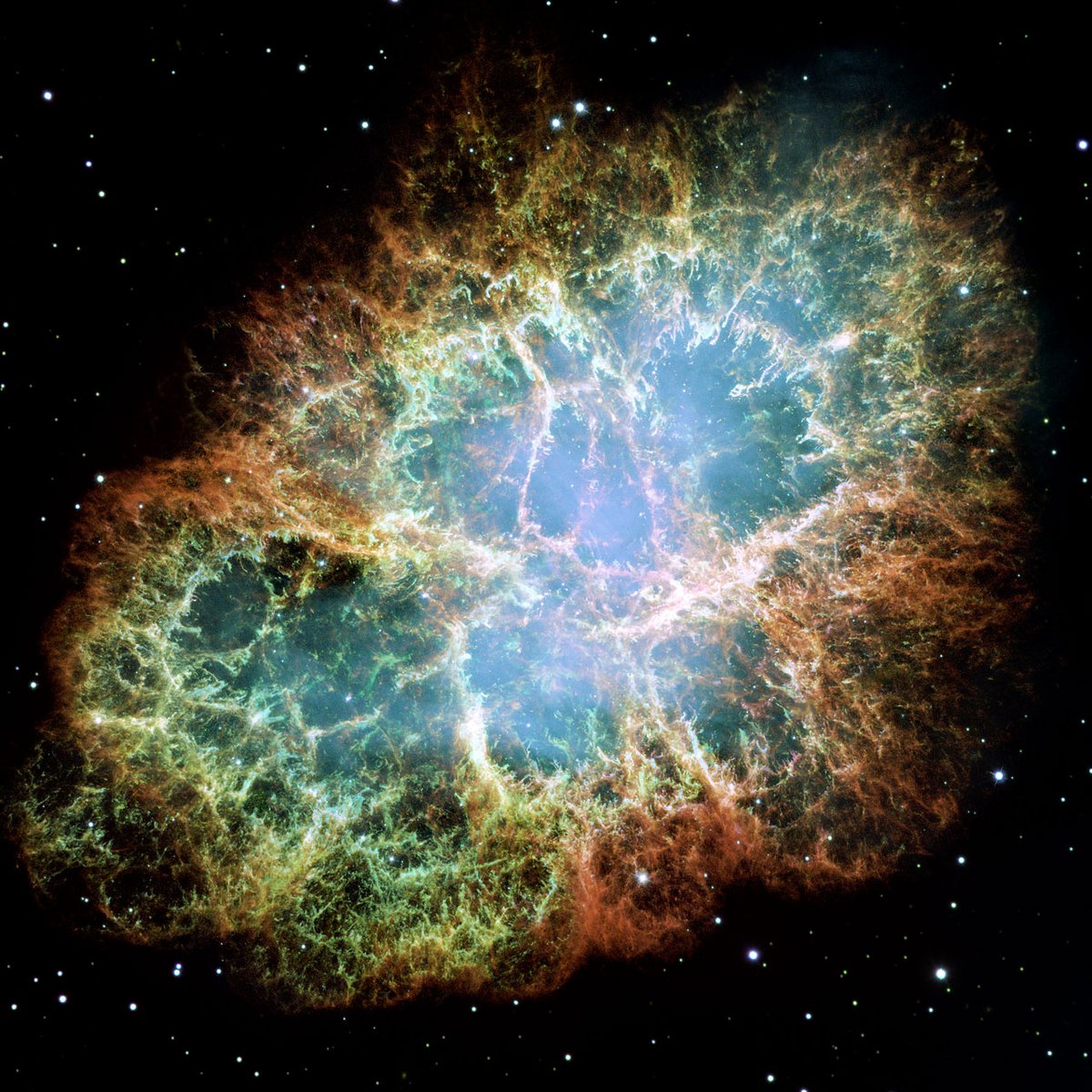 Wist jij dat...
...supernova's een rol spelen in het ontstaan van planeten?
...de zon 99,8% van de massa van ons zonnestelsel bevat?

Leer nog veel meer tijdens de digitale ruimtereis van de WLS!
Hun eerste aflevering is live op 17 oktober om 20.30:
youtube.com/live/lZLxI_NHL…