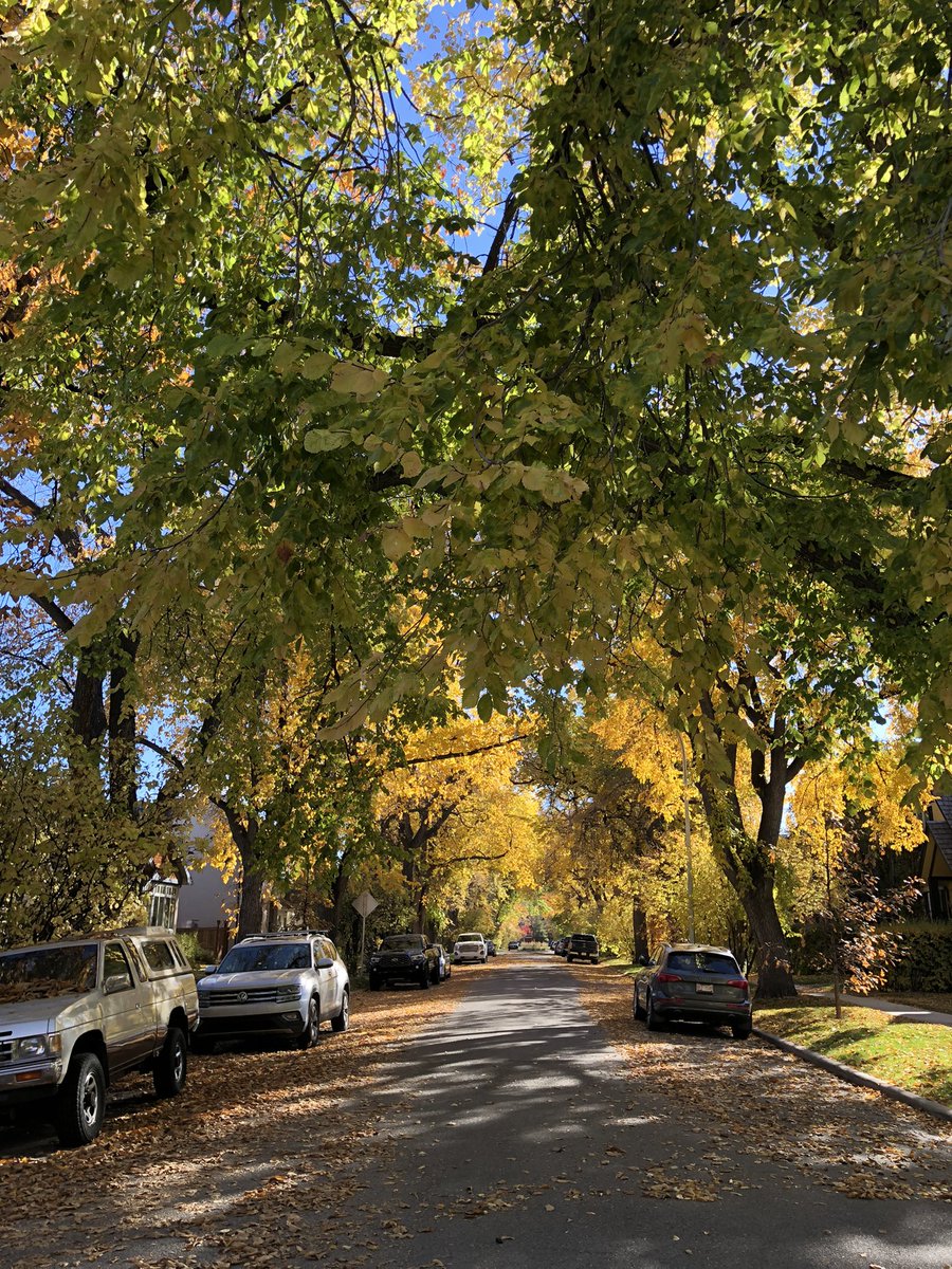 Ben_Whaley's tweet photo. Fall 🍂has arrived in #Calgary 🍁 https://t.co/QUrOld6lQ2