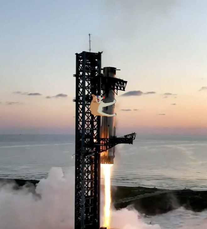 afishincrypto tweet media