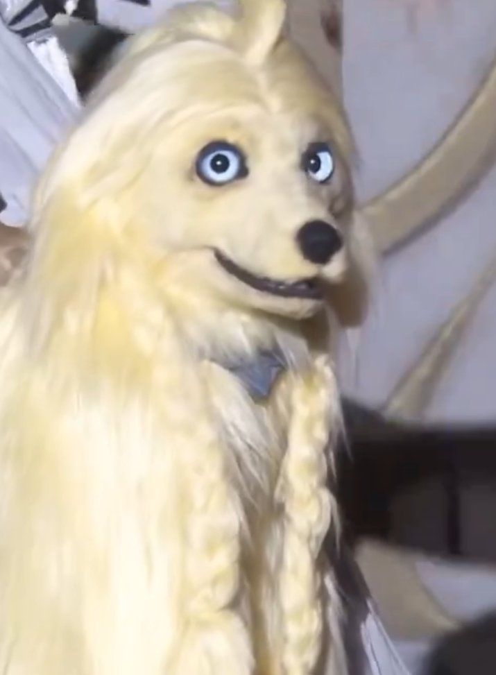 I think the puppy has seen some shit