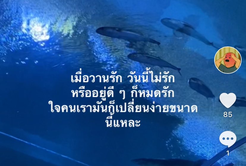 isaswen's tweet image. 