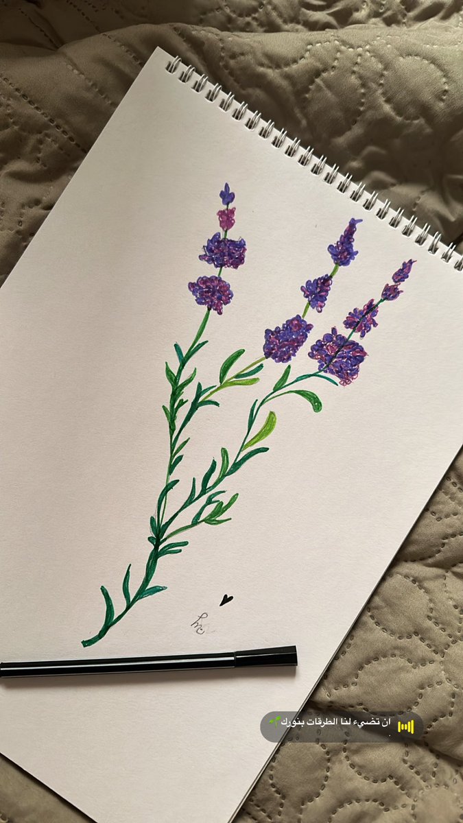 manal0p's tweet photo. @N_kez1 🎨❤️ https://t.co/XbtqC7zmHl