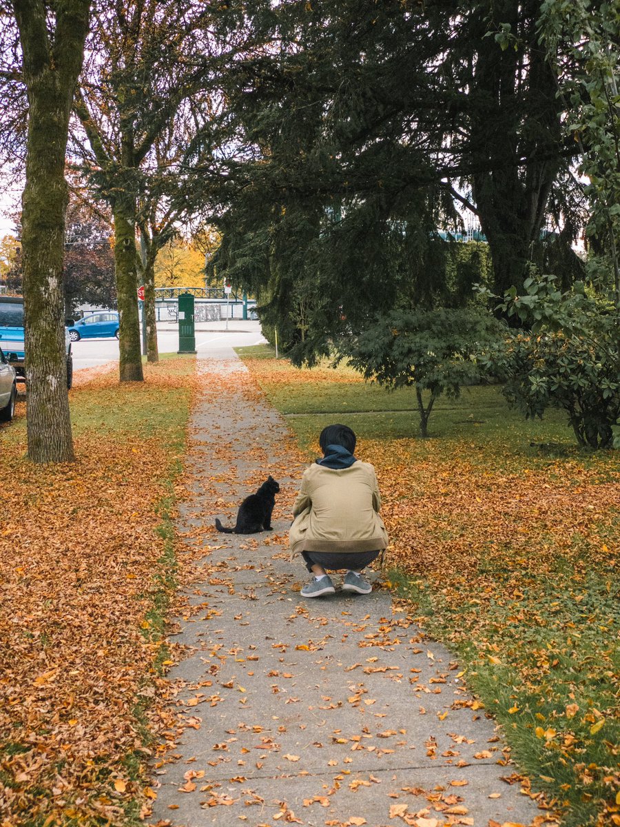 dog-o-matic : flegbleebl.bsky.social tweet media