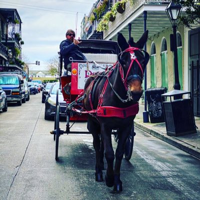 RichLofton's tweet photo. #NewProfilePic https://t.co/cny1qqhG7j