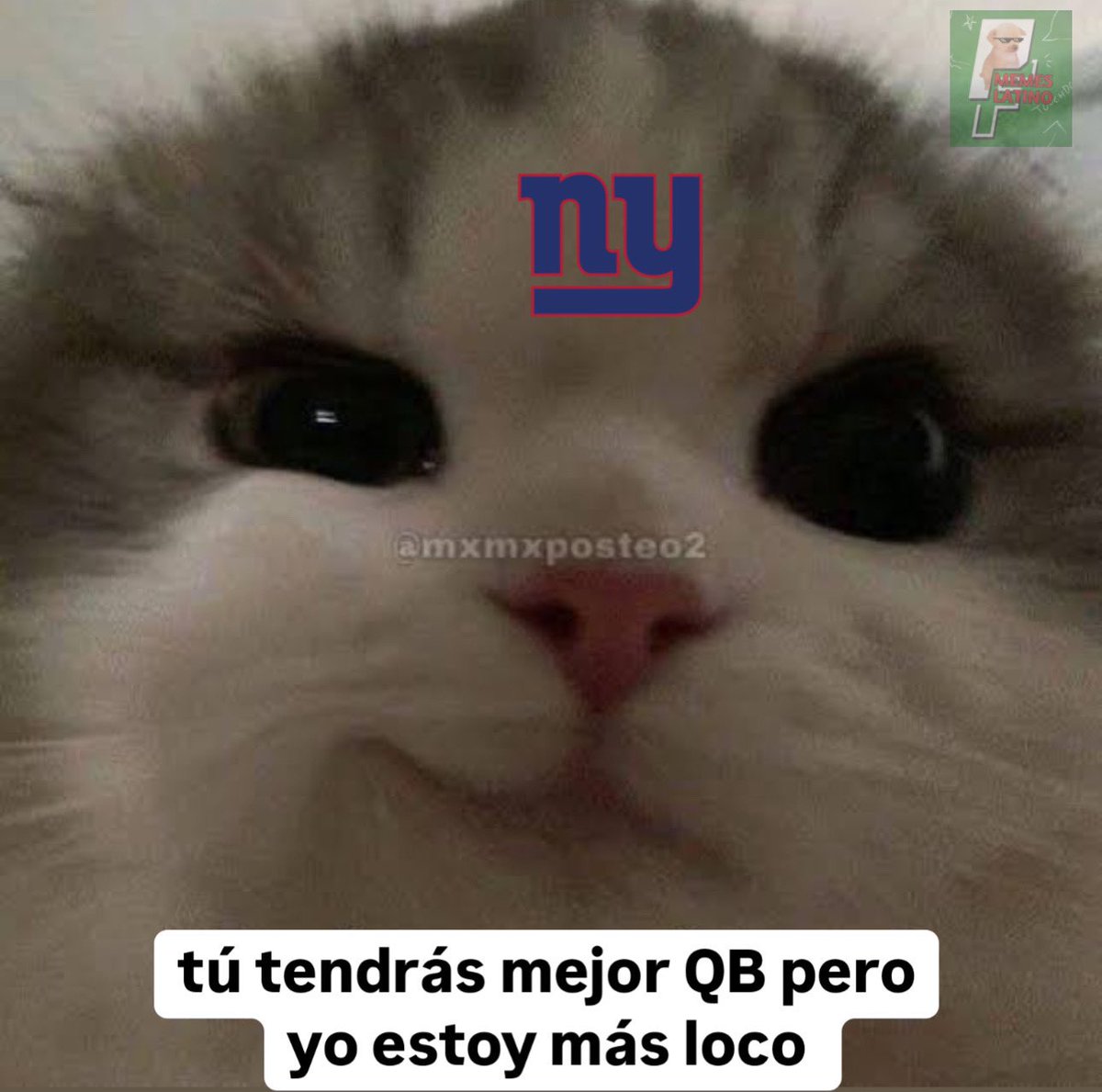 Los Yayantz contra los Bengals