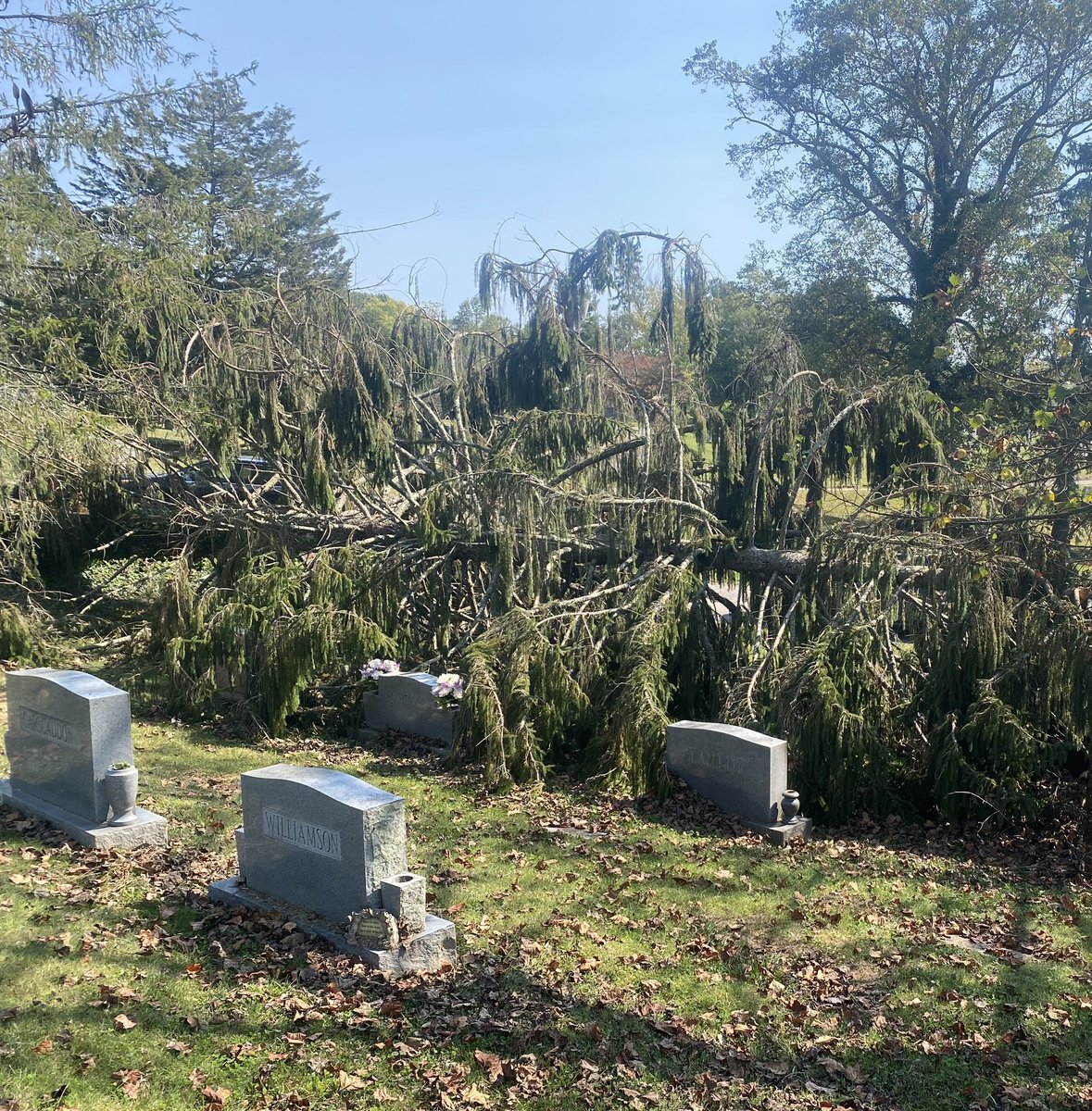 Andrew Jones tweet media