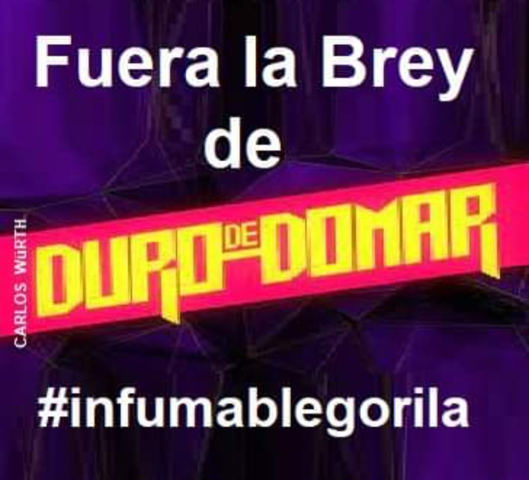 jcreiszer's tweet photo. #DuroDeDomar otro día sin poder ver el programa, está nuevamente la inútil, imbecil de Mariana Brey...!! Chau @c5n. https://t.co/JfxNBq09kI