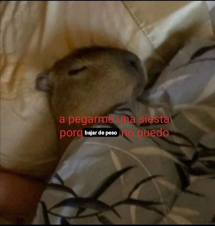 Abbie to Eroda tweet media