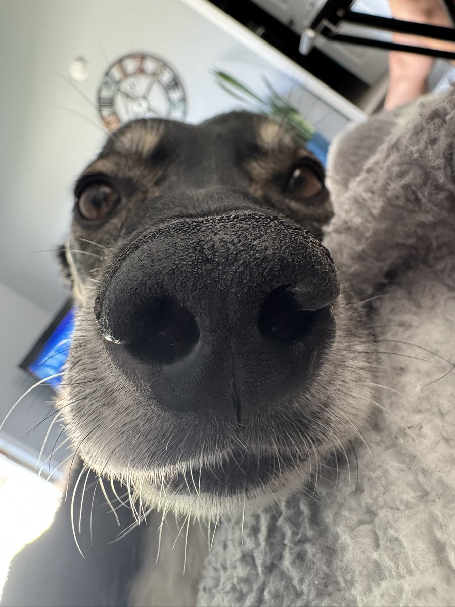 ℍ𝕒𝕟𝕟𝕒𝕙 ℂ tweet media