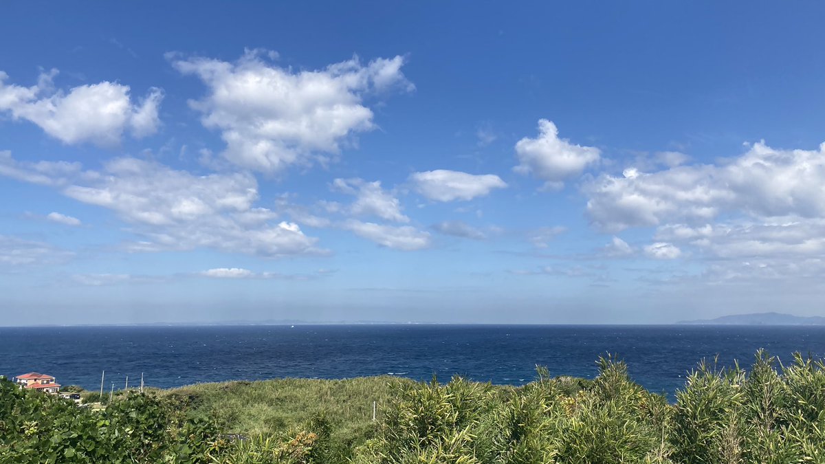 KeiSwitch6's tweet photo. チーバくん のつま先辺り https://t.co/87ClmshiBp