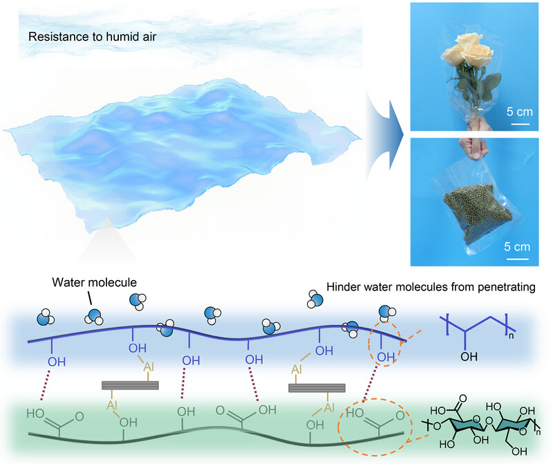 AggregateOA's tweet image. Early View💡
&quot;#Humidity-adaptive, mechanically robust, and #recyclable #bioplastic films amplified by #nanoconfined assembly&quot; by He Liu, Ziqi Tian &amp;amp; Xu Xu et al. @Wiley_Chemistry @WileyTech 

Check👉doi.org/10.1002/agt2.6…