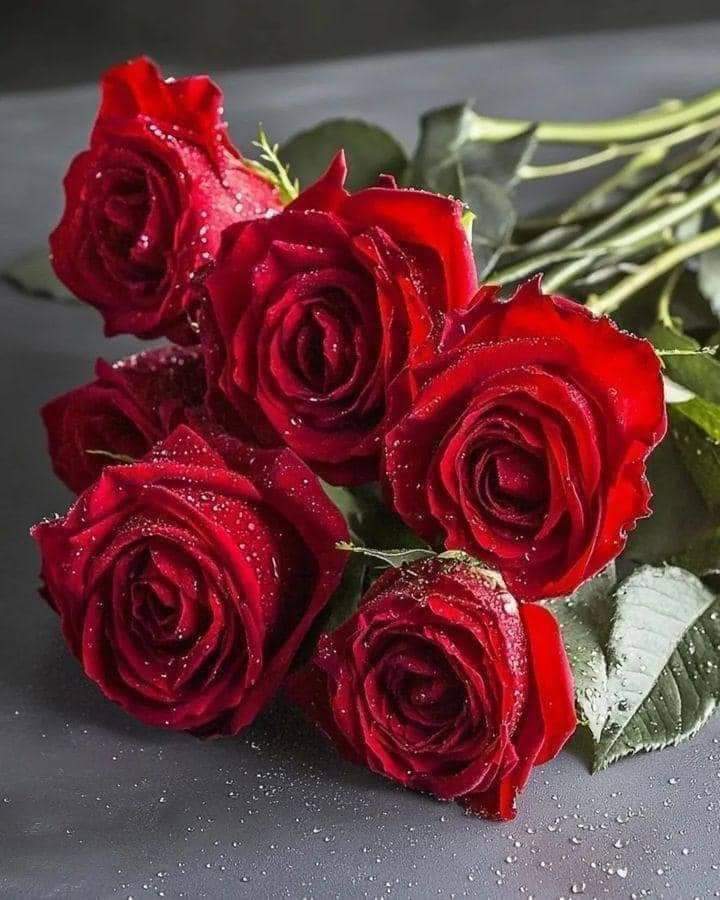 Silvia (@silnreginaa) on Twitter photo <a href="/MarceTeAyuda/">🕉MARCE #MarceTeAyuda🔮#MarceLive🔄♥#AmigosDeMarce</a> <a href="/MarcelaErcia/">🕉MARCE🐉⚖ #MarceTeAyuda🔮#MarceLive🔄 Meme y Popi</a> <a href="/Spencerjames211/">Spencer James #GAINWITHPETAL #TMPETAL #Teamspirit</a> <a href="/Sdf27242/">🐬🐨🔃💧 saad</a> <a href="/coffee_love462/">❄️☕️Maddy - IFB☕️❄️</a> <a href="/ranasilvia63/">Luna OM</a> <a href="/dreams_Bcn/">૮૨iઽƬiทα #MᥲɾᥴᥱTᥱAყᥙᑯᥲ🔮</a> <a href="/SpJames1111/">#SCSGAIN 💙 #TMPETAL #Votelabour🌹 #Votechange</a> <a href="/4523165Q8g7/">りか👑💕</a> <a href="/nuvisionquestt3/">🦅NU_VISION_QUEST_TYPE3🏹</a> <a href="/yelarvel/">*♋️Hecate♋️💞🌻🌷🌹💞</a> <a href="/Aa_ban1/">▄︻ #TmGriffins🦅︻▄</a> <a href="/nbea_h/">#𝕾𝖚𝖕𝖊𝖗𝕱𝖗𝖎𝖊𝖓𝖉𝖘 #𝕿𝖔𝖕𝕱𝖗𝖎𝖊𝖓𝖉𝖘</a> <a href="/Zar_43/">ZARRAR ضرار #ΛᒪBΛЯQ⚡@𝙕𝙖𝙧_𝟰𝟯</a> <a href="/kn_jui/">Bakht Zada🇵🇰f💯</a> <a href="/Menio777/">Frank el shadow7</a> <a href="/fevziates3/">❤⭐#EADT17❤</a> <a href="/florchicana/">Selene 𝕏🖤Perfectly imperfect 🖤❌DM❌</a> Boa noite Marcela!
Abençoada semana querida!🙌🥰🌺 <a href="/MarceTeAyuda/">🕉MARCE #MarceTeAyuda🔮#MarceLive🔄♥#AmigosDeMarce</a> <a href="/MarcelaErcia/">🕉MARCE🐉⚖ #MarceTeAyuda🔮#MarceLive🔄 Meme y Popi</a> <a href="/Spencerjames211/">Spencer James #GAINWITHPETAL #TMPETAL #Teamspirit</a> <a href="/Sdf27242/">🐬🐨🔃💧 saad</a> <a href="/coffee_love462/">❄️☕️Maddy - IFB☕️❄️</a> <a href="/ranasilvia63/">Luna OM</a> <a href="/dreams_Bcn/">૮૨iઽƬiทα #MᥲɾᥴᥱTᥱAყᥙᑯᥲ🔮</a> <a href="/SpJames1111/">#SCSGAIN 💙 #TMPETAL #Votelabour🌹 #Votechange</a> <a href="/4523165Q8g7/">りか👑💕</a> <a href="/nuvisionquestt3/">🦅NU_VISION_QUEST_TYPE3🏹</a> <a href="/yelarvel/">*♋️Hecate♋️💞🌻🌷🌹💞</a> <a href="/Aa_ban1/">▄︻ #TmGriffins🦅︻▄</a> <a href="/nbea_h/">#𝕾𝖚𝖕𝖊𝖗𝕱𝖗𝖎𝖊𝖓𝖉𝖘 #𝕿𝖔𝖕𝕱𝖗𝖎𝖊𝖓𝖉𝖘</a> <a href="/Zar_43/">ZARRAR ضرار #ΛᒪBΛЯQ⚡@𝙕𝙖𝙧_𝟰𝟯</a> <a href="/kn_jui/">Bakht Zada🇵🇰f💯</a> <a href="/Menio777/">Frank el shadow7</a> <a href="/fevziates3/">❤⭐#EADT17❤</a> <a href="/florchicana/">Selene 𝕏🖤Perfectly imperfect 🖤❌DM❌</a> Boa noite Marcela!
Abençoada semana querida!🙌🥰🌺